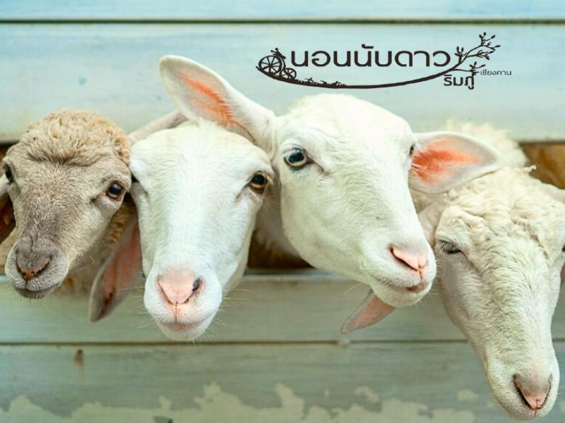 Norn Nab Dao Rimphu Resort Chiang Khan Luaran gambar